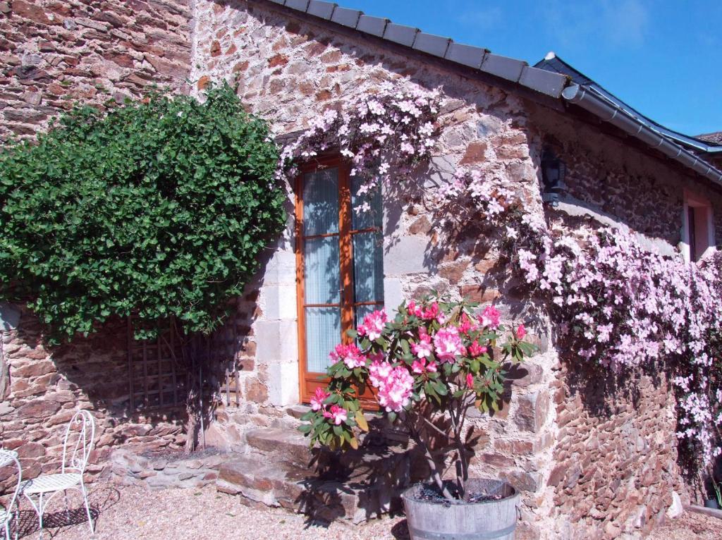 Domaine De Lasfonds Rieupeyroux  Room photo